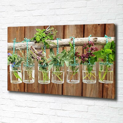 Tableau photo sur toile Herbes en pots