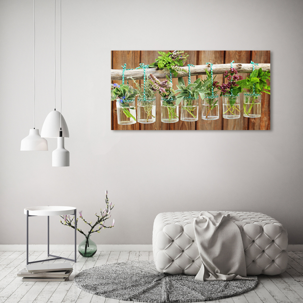 Tableau photo sur toile Herbes en pots