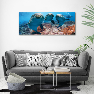 Tableau photo sur toile Dauphins