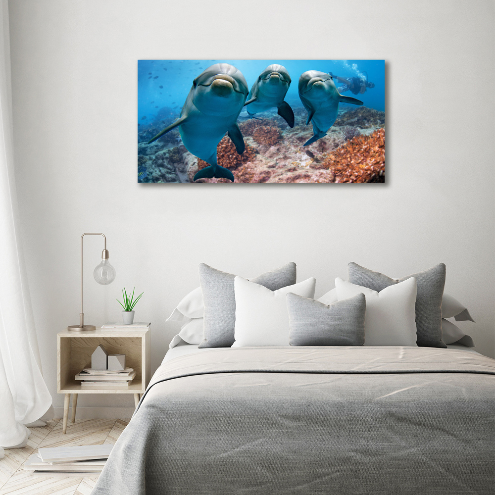 Tableau photo sur toile Dauphins