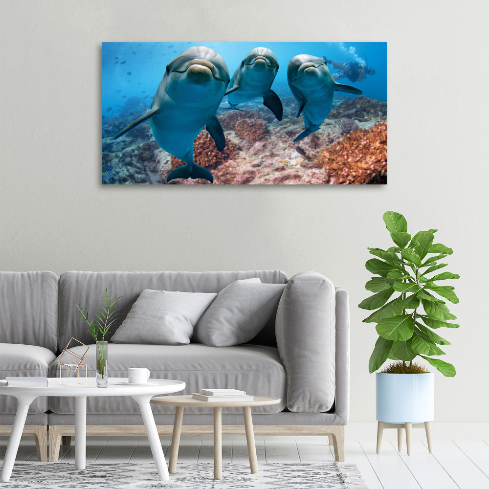 Tableau photo sur toile Dauphins