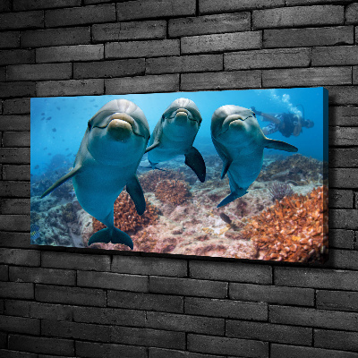 Tableau photo sur toile Dauphins