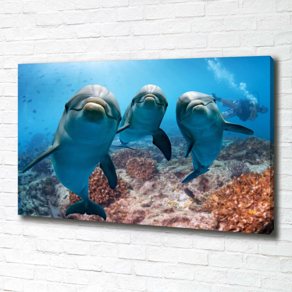 Tableau photo sur toile Dauphins