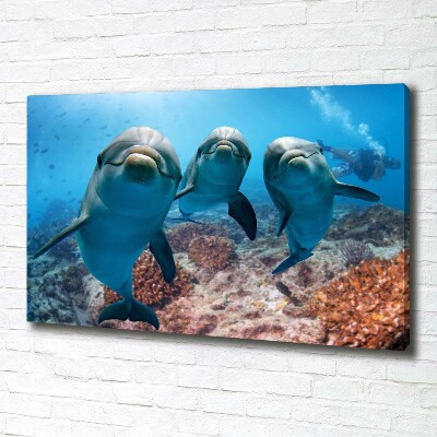 Tableau photo sur toile Dauphins