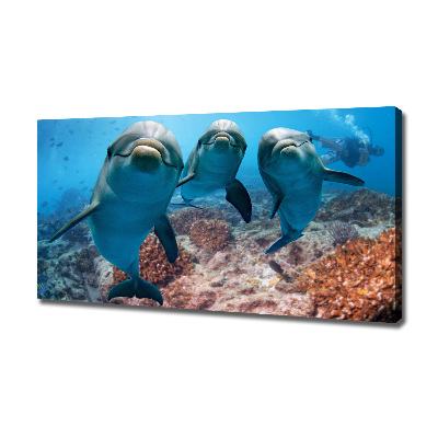 Tableau photo sur toile Dauphins