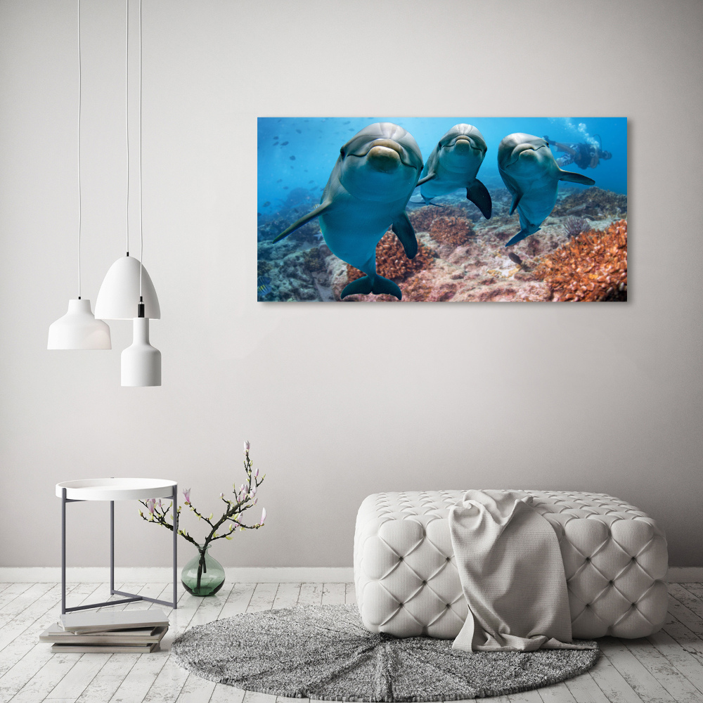 Tableau photo sur toile Dauphins