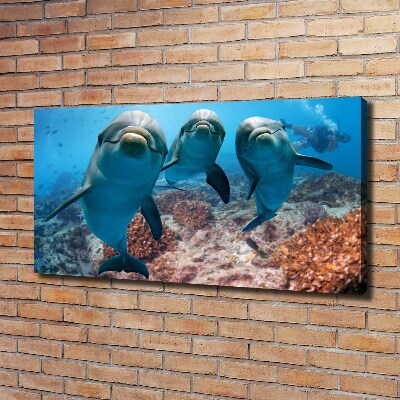 Tableau photo sur toile Dauphins