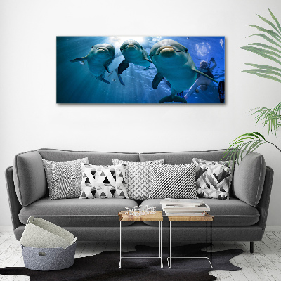 Tableau imprimé sur toile Trois dauphins