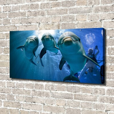 Tableau imprimé sur toile Trois dauphins