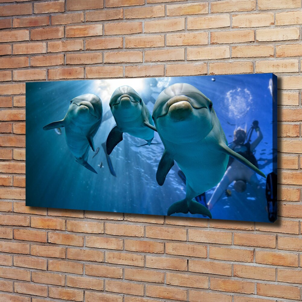 Tableau imprimé sur toile Trois dauphins