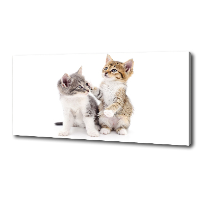 Tableau mural sur toile Deux petits chats