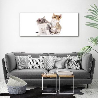 Tableau mural sur toile Deux petits chats