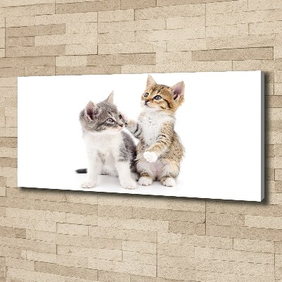 Tableau mural sur toile Deux petits chats