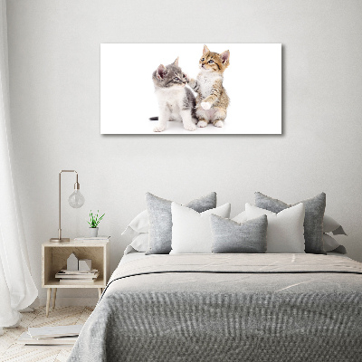 Tableau mural sur toile Deux petits chats