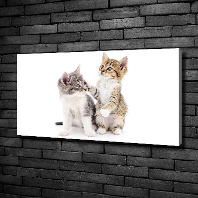 Tableau mural sur toile Deux petits chats