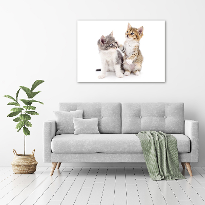 Tableau mural sur toile Deux petits chats