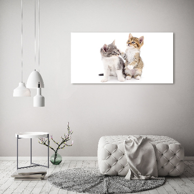 Tableau mural sur toile Deux petits chats