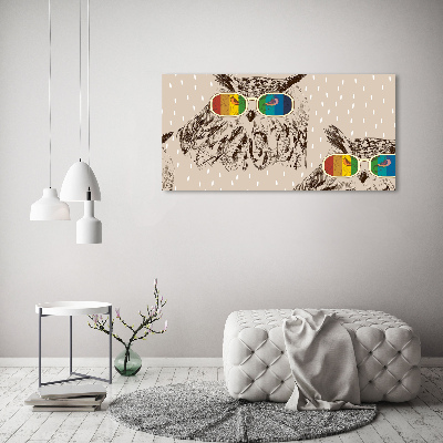 Tableau imprimé sur toile Hiboux avec des lunettes