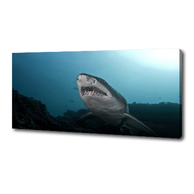 Tableau photo sur toile Grand requin