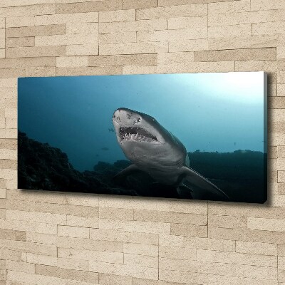 Tableau photo sur toile Grand requin