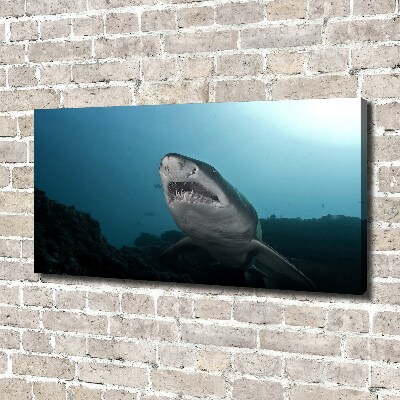 Tableau photo sur toile Grand requin