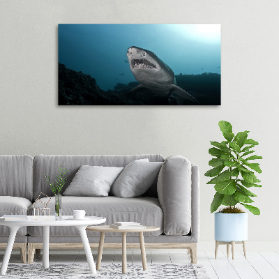 Tableau photo sur toile Grand requin