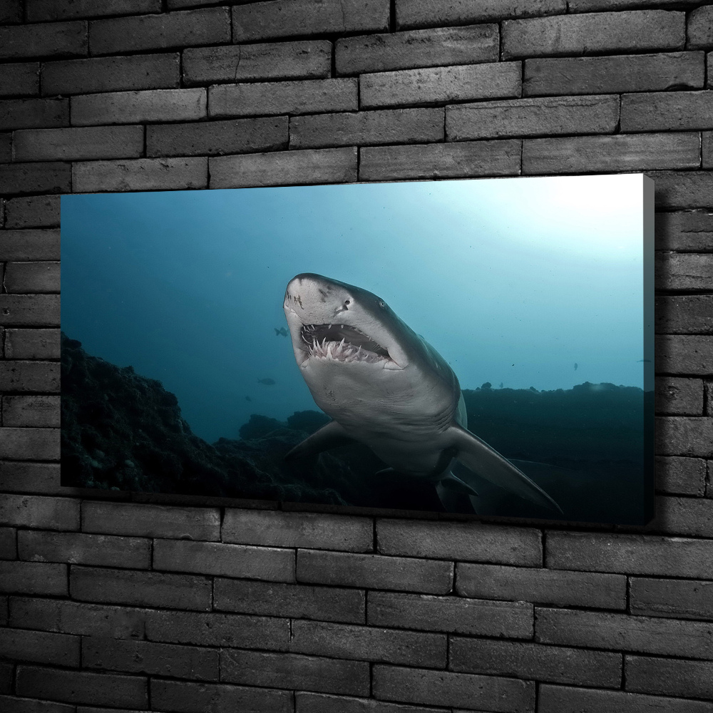 Tableau photo sur toile Grand requin