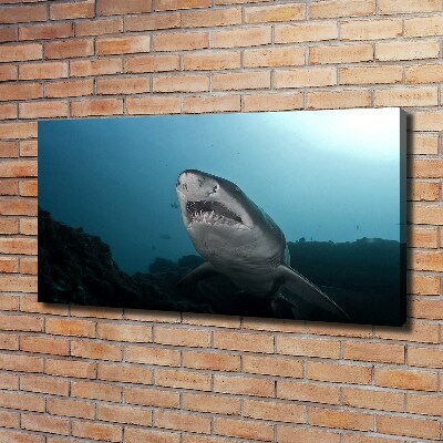 Tableau photo sur toile Grand requin