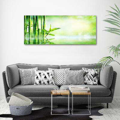 Tableau sur toile Bamboo