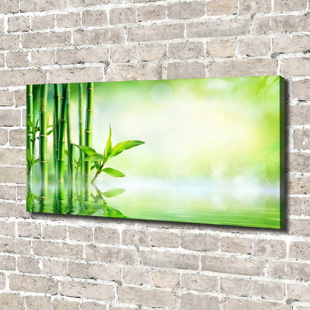 Tableau sur toile Bamboo