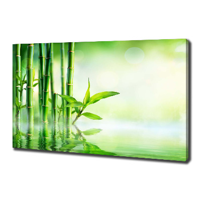 Tableau sur toile Bamboo