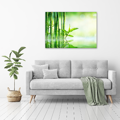 Tableau sur toile Bamboo