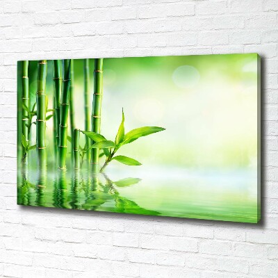 Tableau sur toile Bamboo