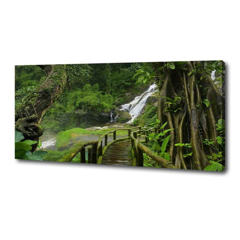 Tableau toile imprimée Chute d'eau dans la jungle