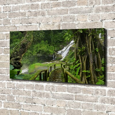 Tableau toile imprimée Chute d'eau dans la jungle