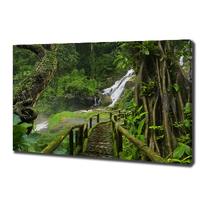 Tableau toile imprimée Chute d'eau dans la jungle