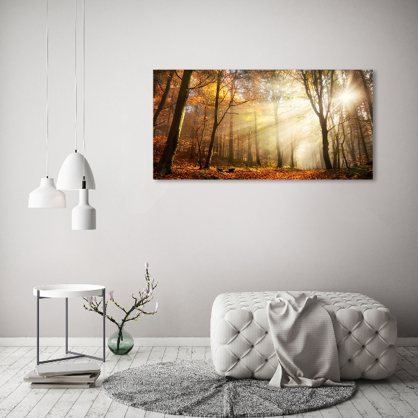 Tableau photo sur toile Le brouillard dans la forêt