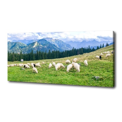 Tableau imprimé sur toile Mouton dans les Tatras