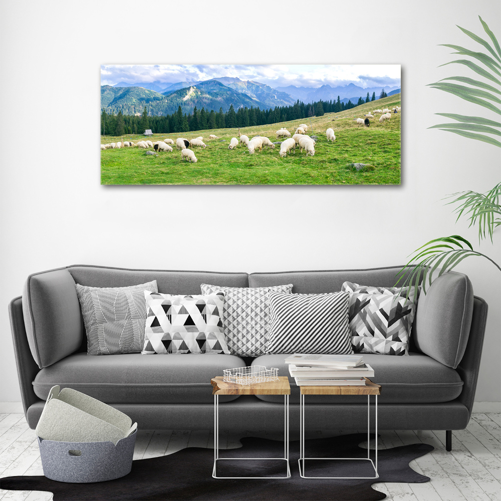 Tableau imprimé sur toile Mouton dans les Tatras