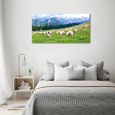 Tableau imprimé sur toile Mouton dans les Tatras