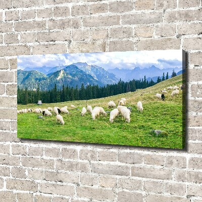 Tableau imprimé sur toile Mouton dans les Tatras