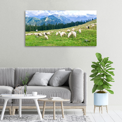 Tableau imprimé sur toile Mouton dans les Tatras