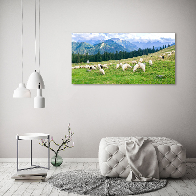 Tableau imprimé sur toile Mouton dans les Tatras