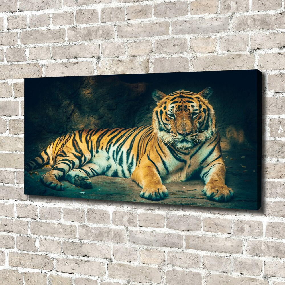 Tableau sur toile Tigre dans une grotte