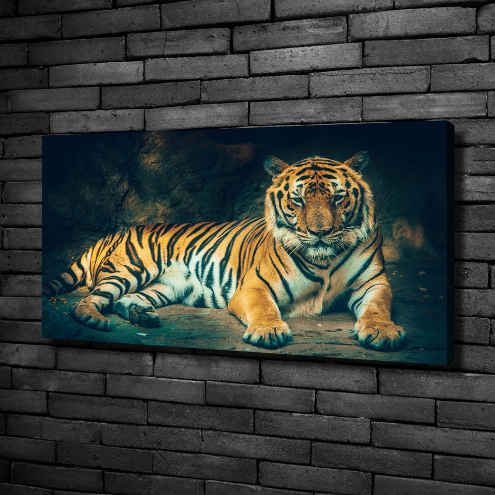 Tableau sur toile Tigre dans une grotte