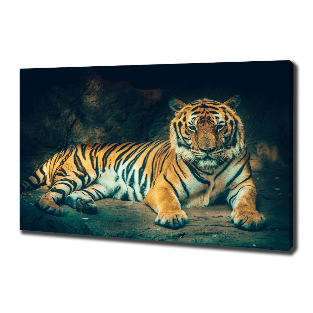 Tableau sur toile Tigre dans une grotte