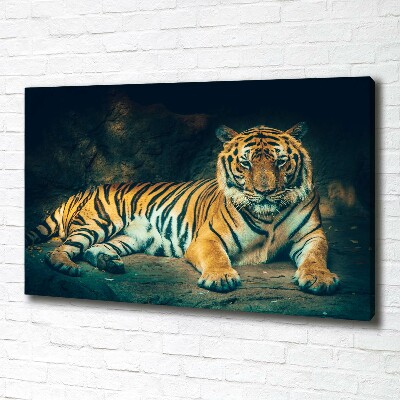 Tableau sur toile Tigre dans une grotte