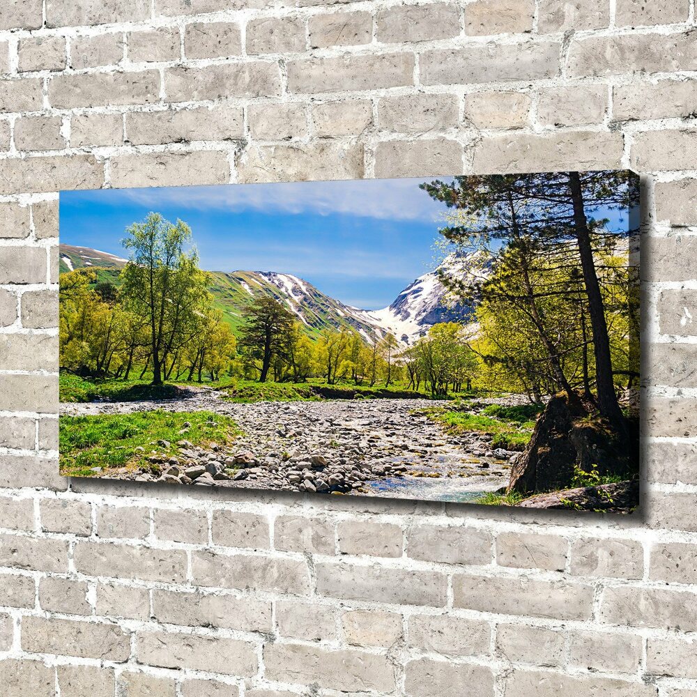 Tableau sur toile Rivière dans les montagnes