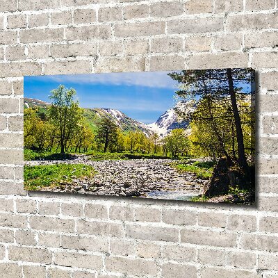 Tableau sur toile Rivière dans les montagnes