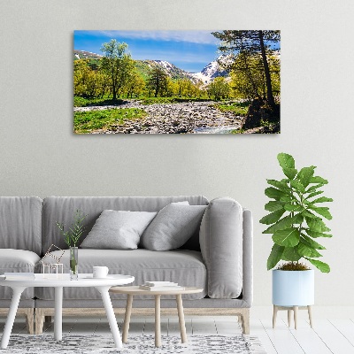 Tableau sur toile Rivière dans les montagnes